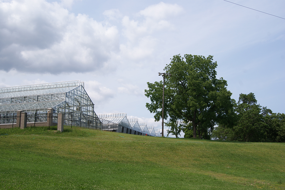 MITCHELL PARK GREENHOUSE FACILITIES FOR THE DOMES OF MILWAUKEE COUNTY